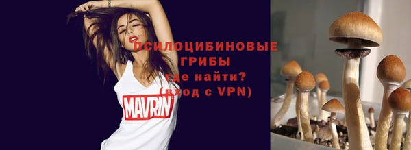 ECSTASY Краснослободск