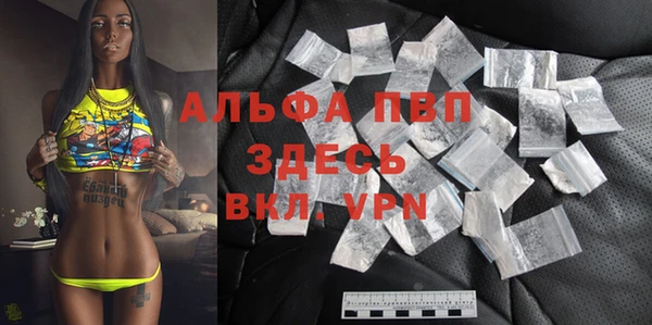 спайс Чита