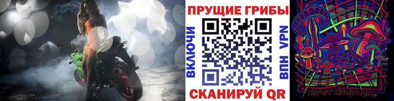 Галлюциногенные грибы Magic Shrooms  купить  цена  Цивильск 